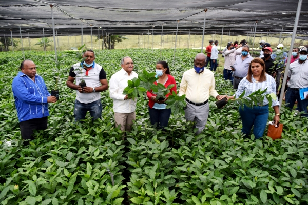 Director INDOCAFE hace entrega de Plantas en la Región Sur del País