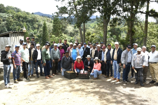 CONIAF, INDOCAFE E IDIAF realizan Día de Campo Sobre Avances Tecnológicos en Cultivares de Café, CATIDIAF 21 y CARIBE en Finca de Café SAMIR
