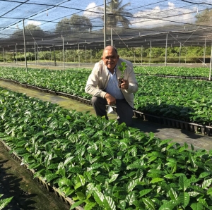 Director INDOCAFE visita vivero Fundacion Sur Futuro en Azua