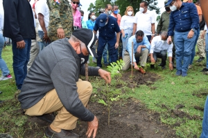 Jornada de reforestaci&oacute;n en Y&aacute;sica, Puerto Plata