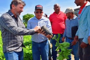 INDOCAFE e INDUBAN realizan entrega de plantas de caf&eacute; resistentes a la Roya en Rancho Arriba