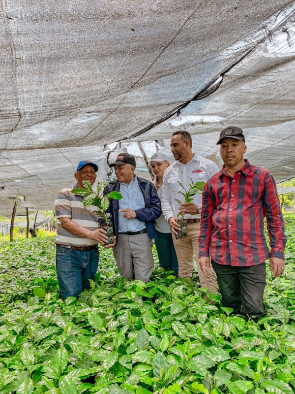 Director INDOCAFE entrega 70 mil plantas de café en Jarabacoa