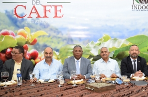Director Indocaf&eacute; cita logros en su gesti&oacute;n