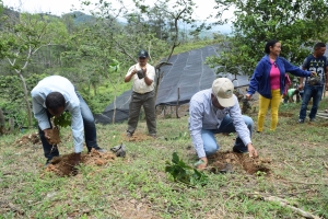 CODOCAFE produce m&aacute;s de 31 millones de plantas y replantado unas 71,615 tareas con nuevas variedades
