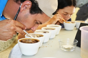 INDOCAFE celebr&oacute; en Polo Barahona 3er taller "Intercambio de experiencia entre catadores"