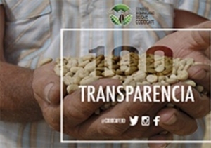CODOCAFE obtiene la m&aacute;xima puntuaci&oacute;n de 100% en materia de transparencia